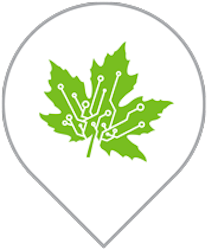 map pin icon